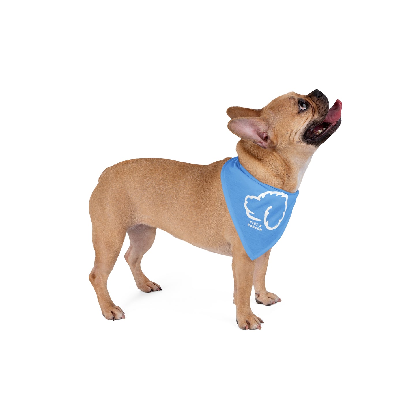 Blue Pet Bandana