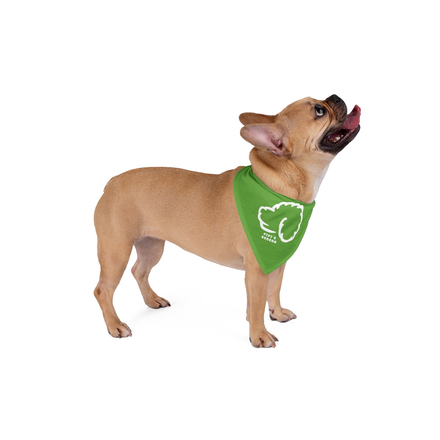 Green Pet Bandana