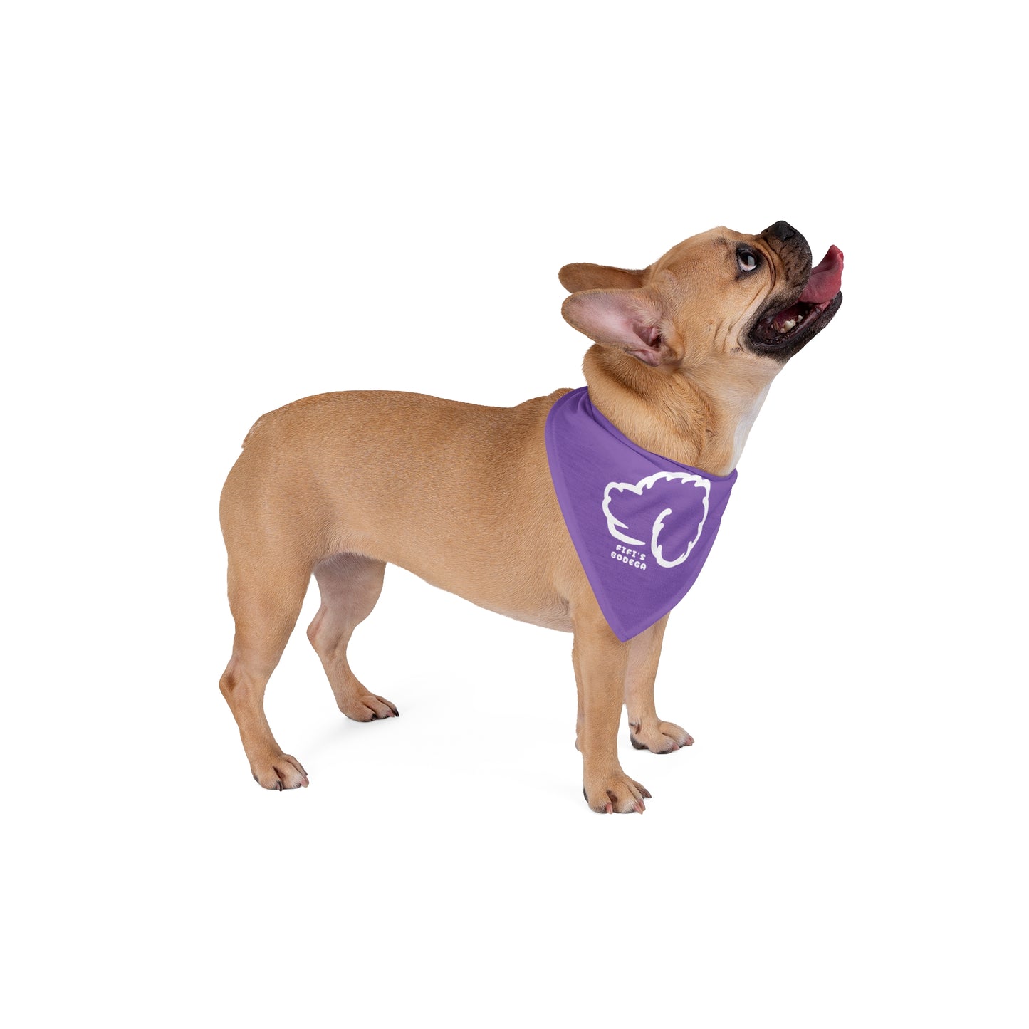 Purple Pet Bandana