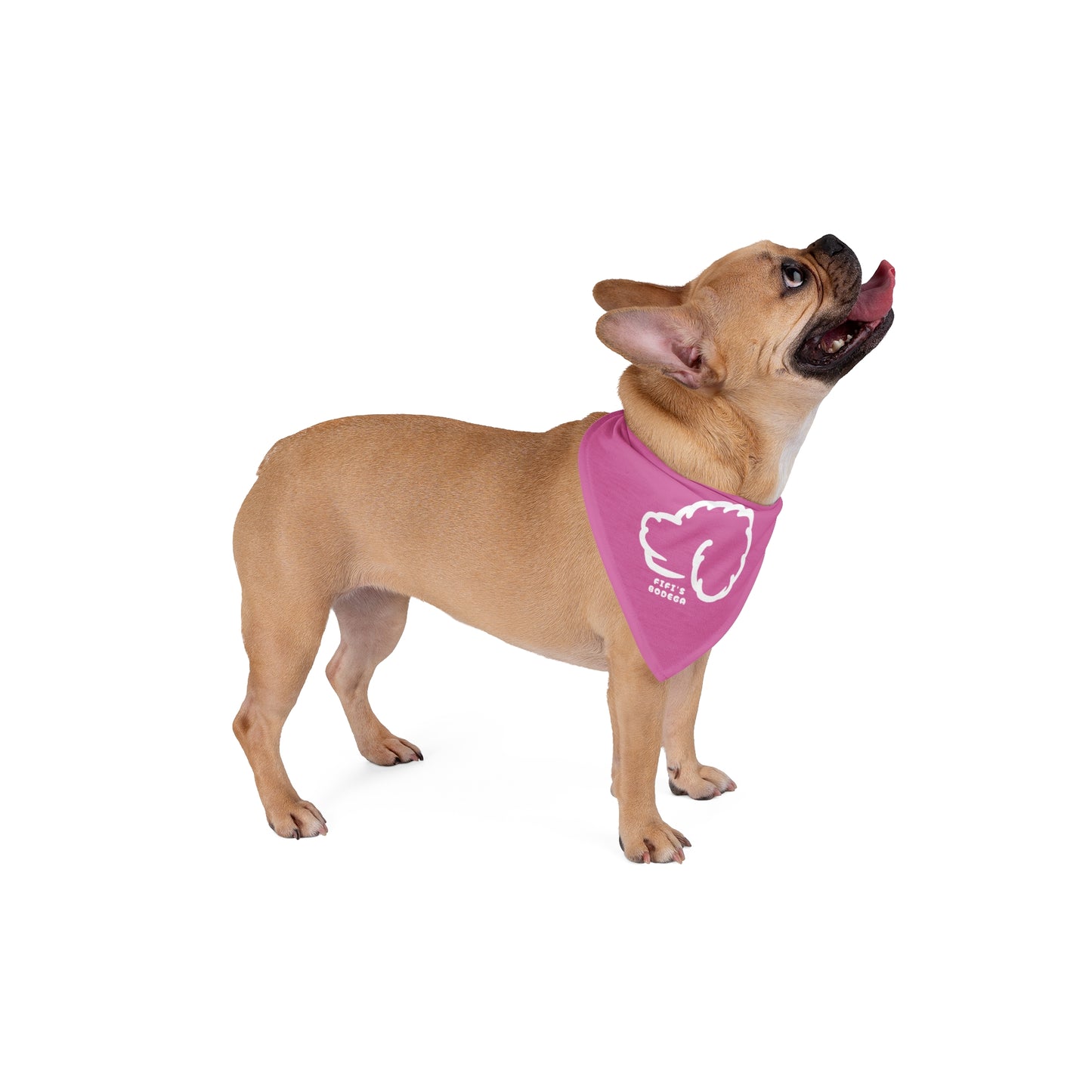 Pink Pet Bandana